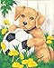 Dimensions Needlecrafts Paintworks Paint By Number, Puppy & Soccer Ball