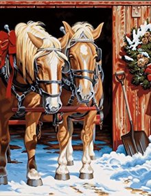 Dimensions-Needlecrafts-Paintworks-Paint-By-Number-Ready-For-The-Ride-0